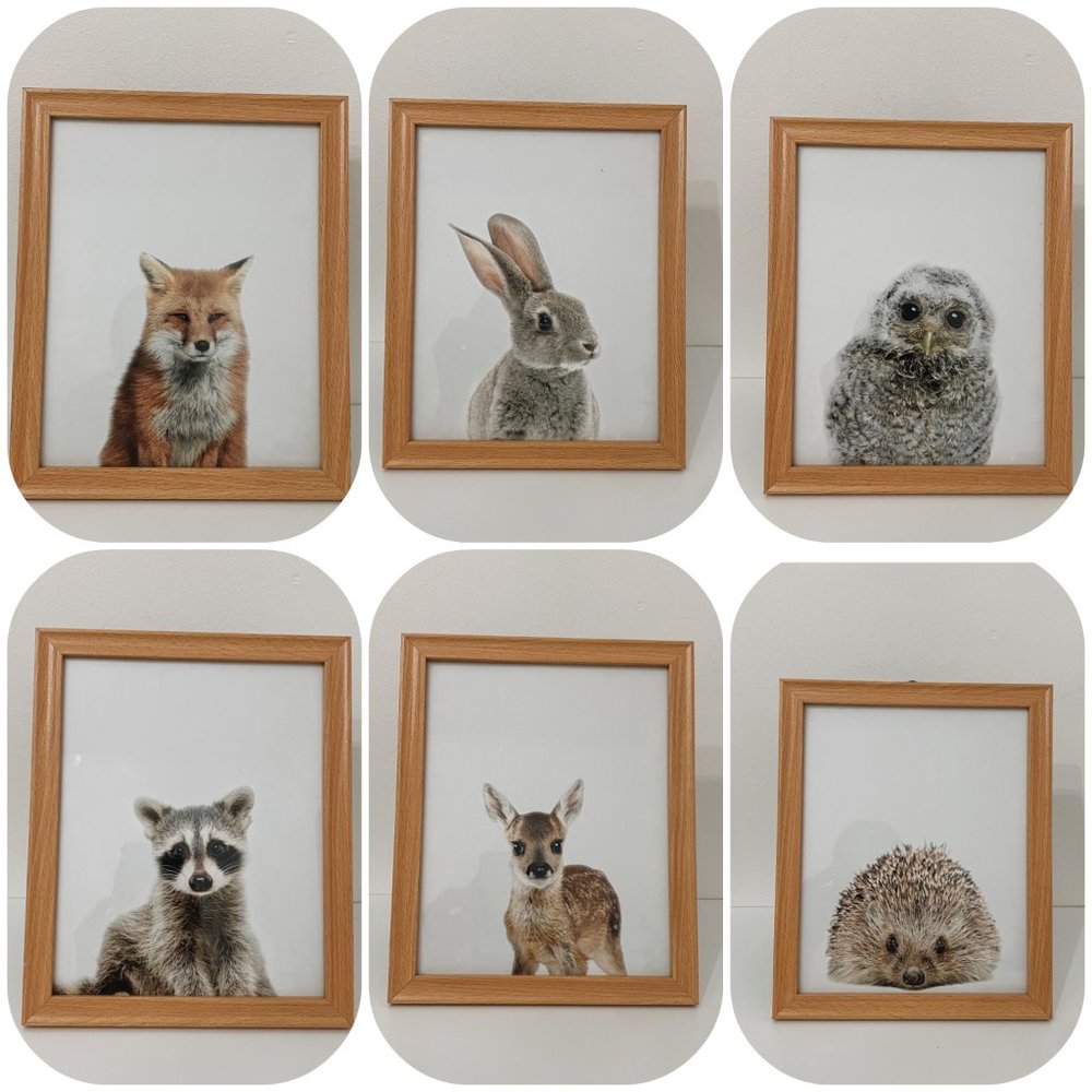 Woodland Animals Framed Nursery Art, Set of 6